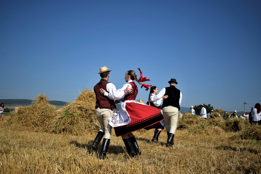 236937775-10222555892757975-4689706578944546898-n7DABCE0A-747C-E86E-D03F-CA98998AB501